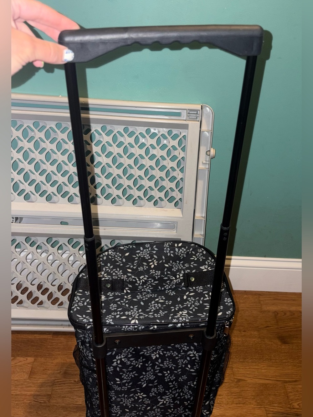Collapsable roller bag. - Picture 4 of 7